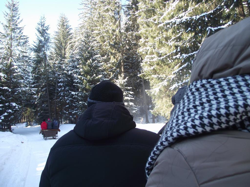 Cabana Piatra Runcului Vatra Moldoviţei Buitenkant foto