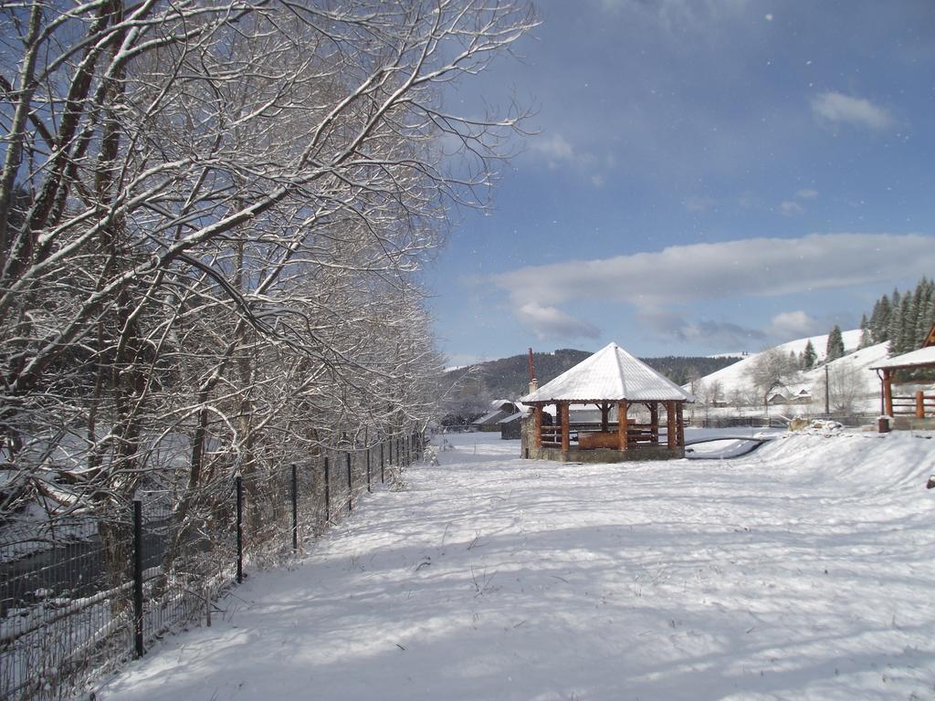 Cabana Piatra Runcului Vatra Moldoviţei Buitenkant foto