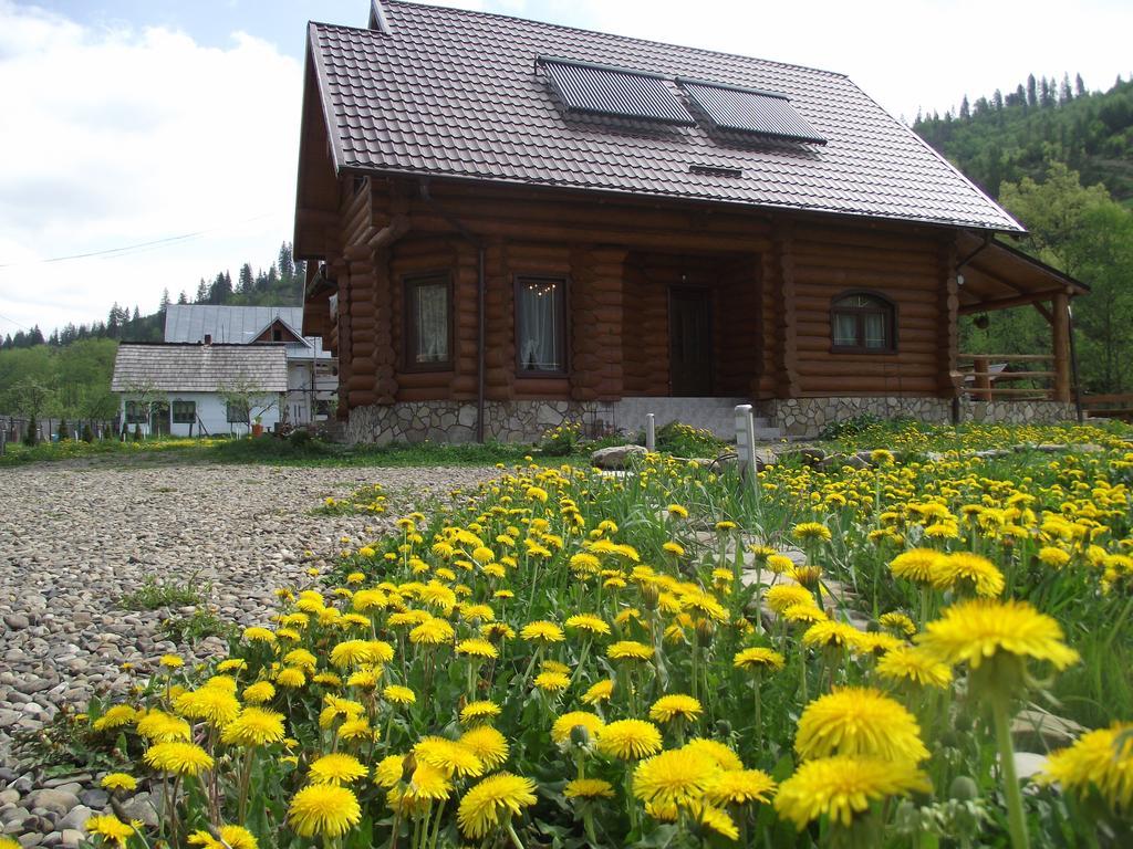 Cabana Piatra Runcului Vatra Moldoviţei Buitenkant foto