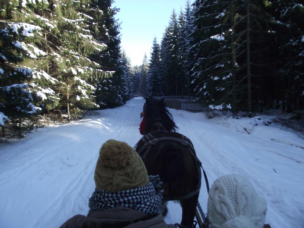 Cabana Piatra Runcului Vatra Moldoviţei Buitenkant foto