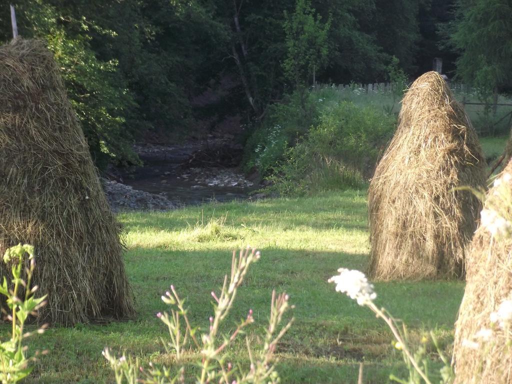 Cabana Piatra Runcului Vatra Moldoviţei Buitenkant foto