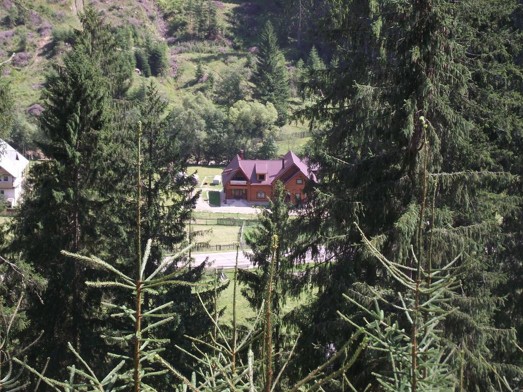 Cabana Piatra Runcului Vatra Moldoviţei Buitenkant foto